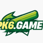 PK6 GAME LOGO